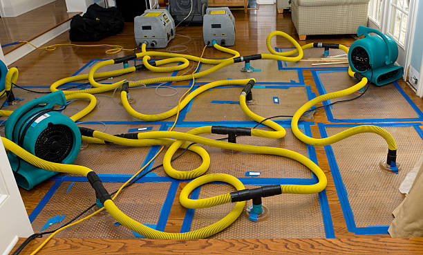 Professional Basement Flood Cleanup technician working in Amboy, MN